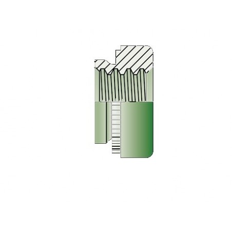 Nut - CLS Stainless Steel A2