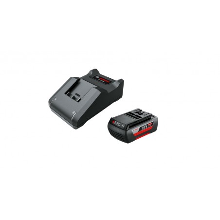 Starter Kit 36 V με Μπαταρία Ιόντων Λιθίου 2.0Ah & Φορτιστή AL3620-20