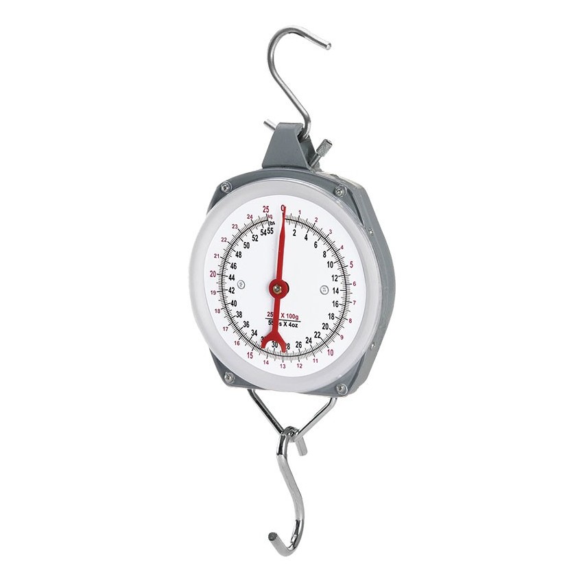 DS1100 Ζυγαριά Κρεμαστή Αναλογική 100Kg/100Gr