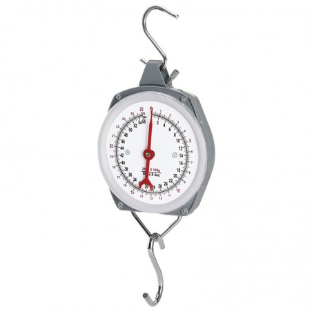 DS1100 Ζυγαριά Κρεμαστή Αναλογική 100Kg/100Gr