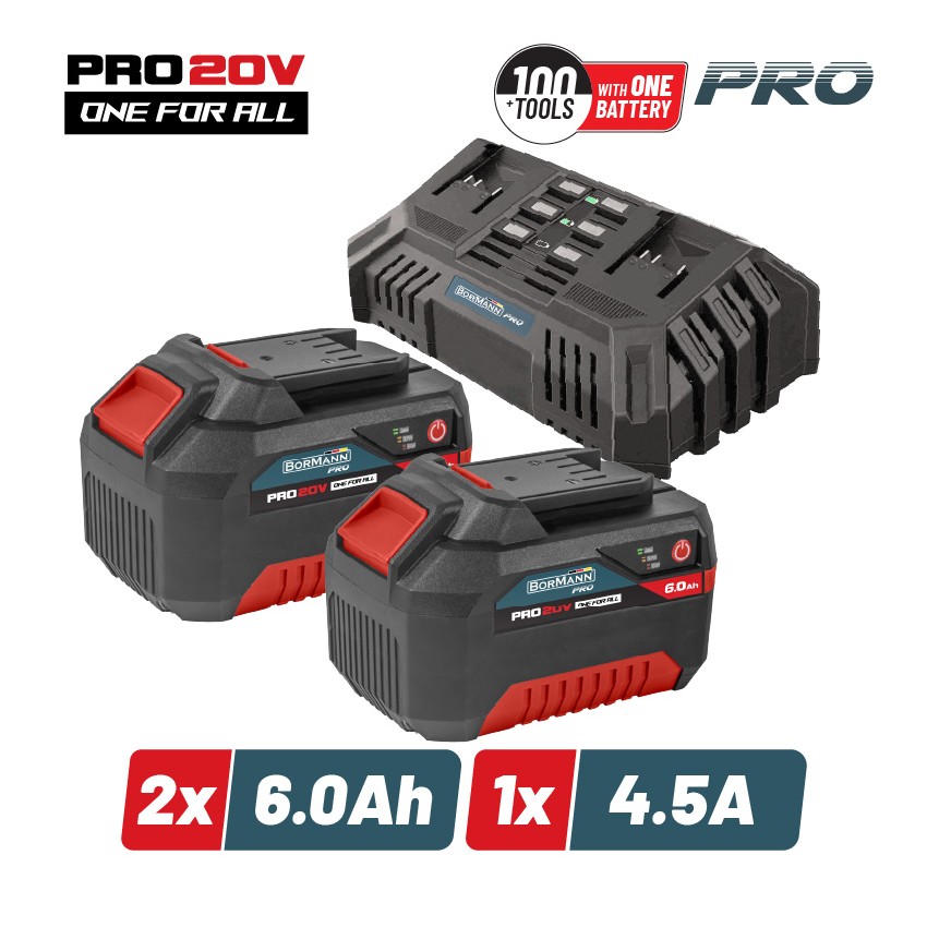 BBP9966 Μπαταρίες 2x6.0Ah & Διπλός Ταχυφορτιστής 4.5A