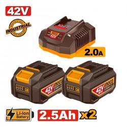 FBCPM25221E Σετ Μπαταρίες 2x2.5Ah & Φορτιστής 2A 42V