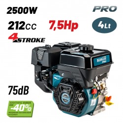 BGB2200 Κινητήρας Βενζίνης 7.5Hp Σφήνα