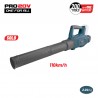 BBP4350 Φυσητήρας Μπαταρίας 20V (Solo)